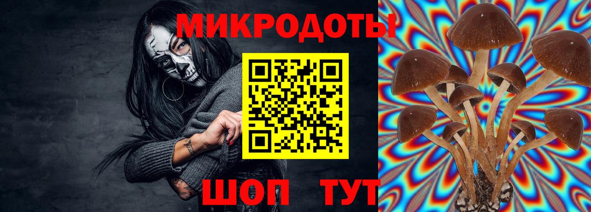 Псилоцибиновые грибы MAGIC MUSHROOMS Южно-Сахалинск