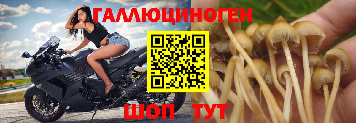 дарнет шоп  Галлюциногенные грибы Cubensis  Вход с VPN  Южно-Сахалинск 